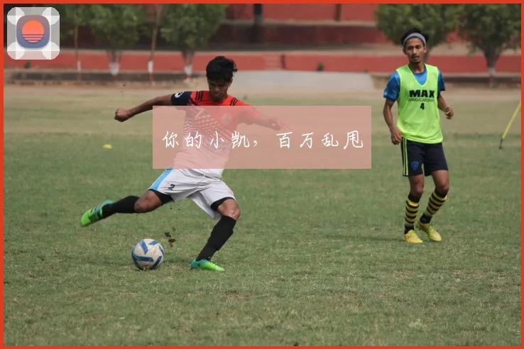 你的小凯，百万乱甩