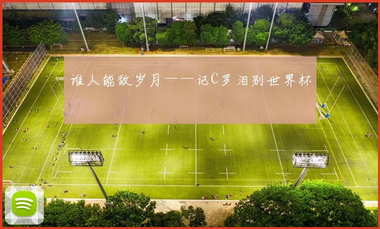谁人能敌岁月——记C罗泪别世界杯