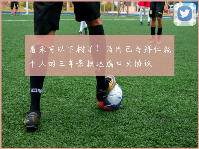 看来可以下树了！马内已与拜仁就个人的三年条款达成口头协议